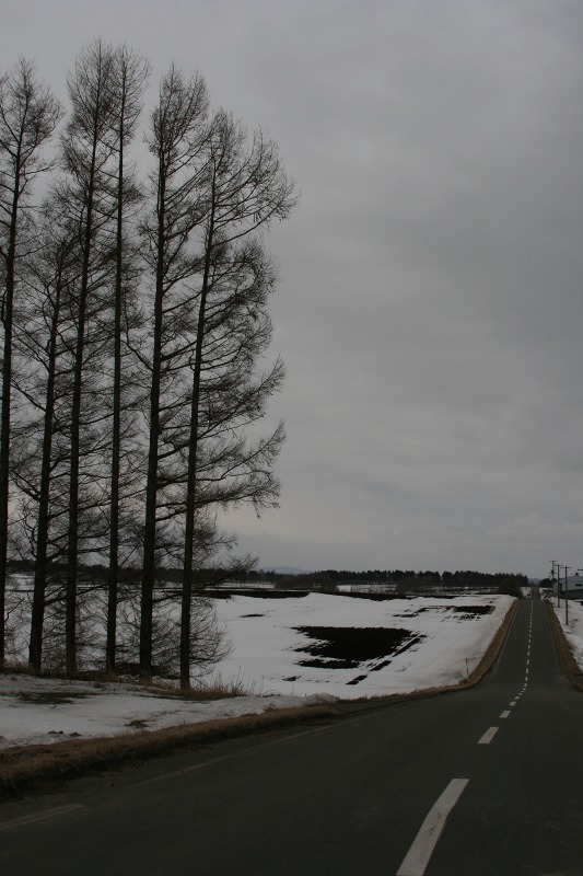 ファイル 61-5.jpg