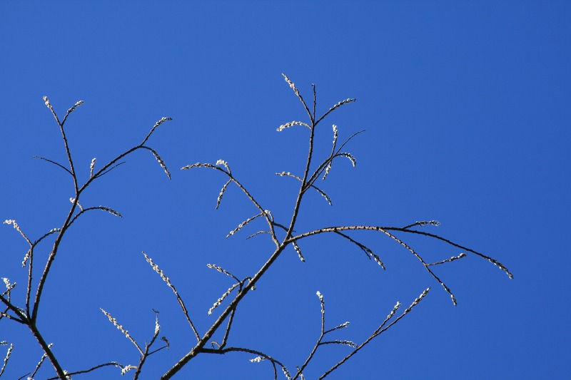 ファイル 65-1.jpg