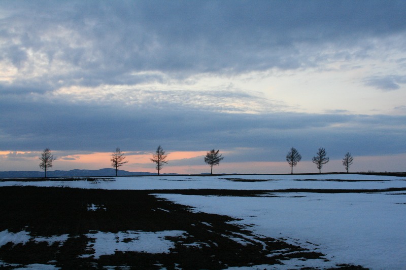 ファイル 66-2.jpg