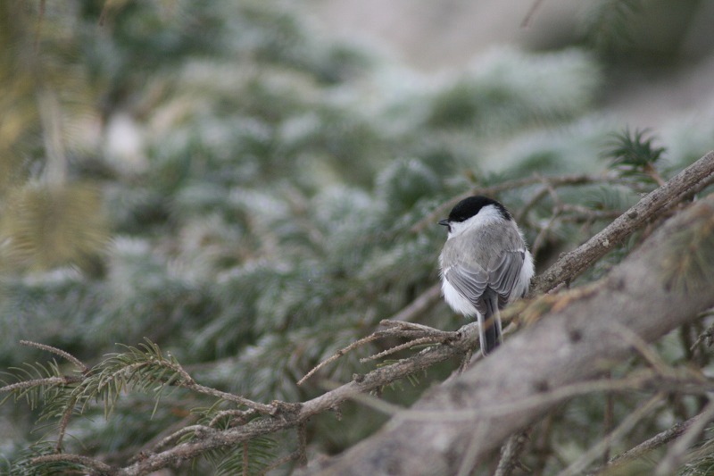 ファイル 67-2.jpg