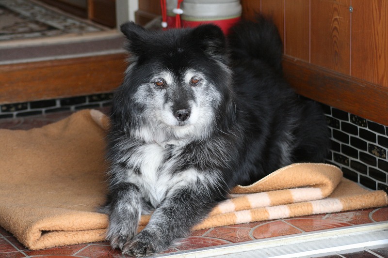 ファイル 67-3.jpg