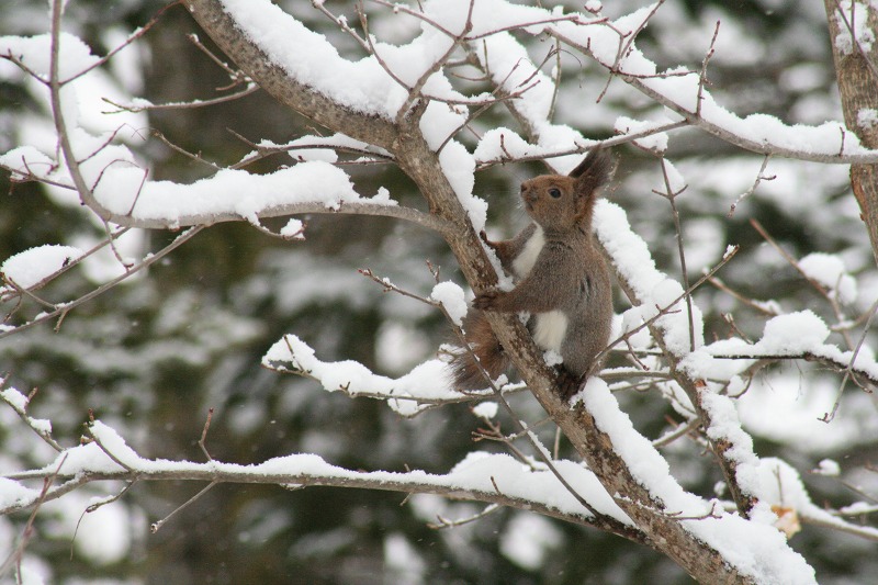 ファイル 68-1.jpg