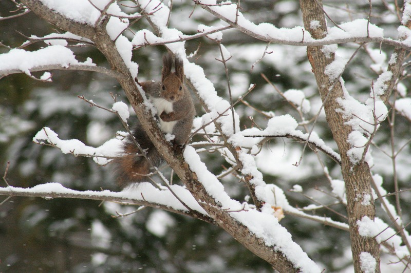 ファイル 68-2.jpg