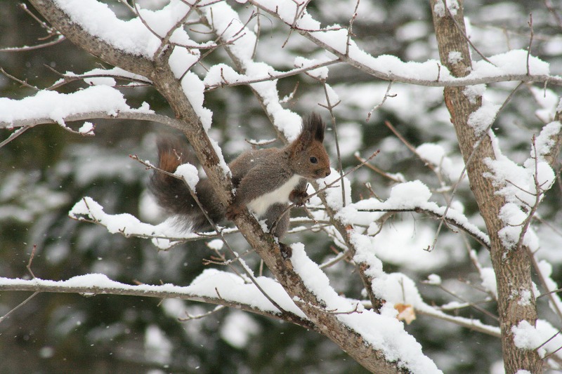 ファイル 68-3.jpg