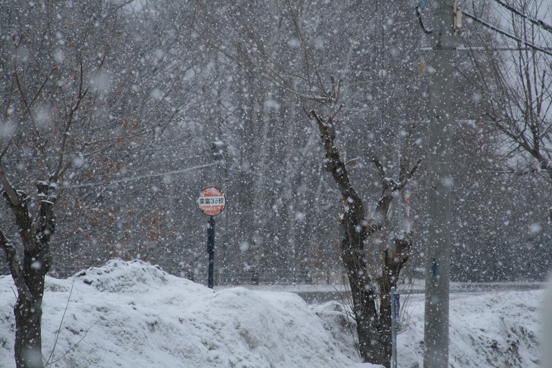 ファイル 70-1.jpg