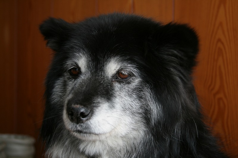 ファイル 70-2.jpg