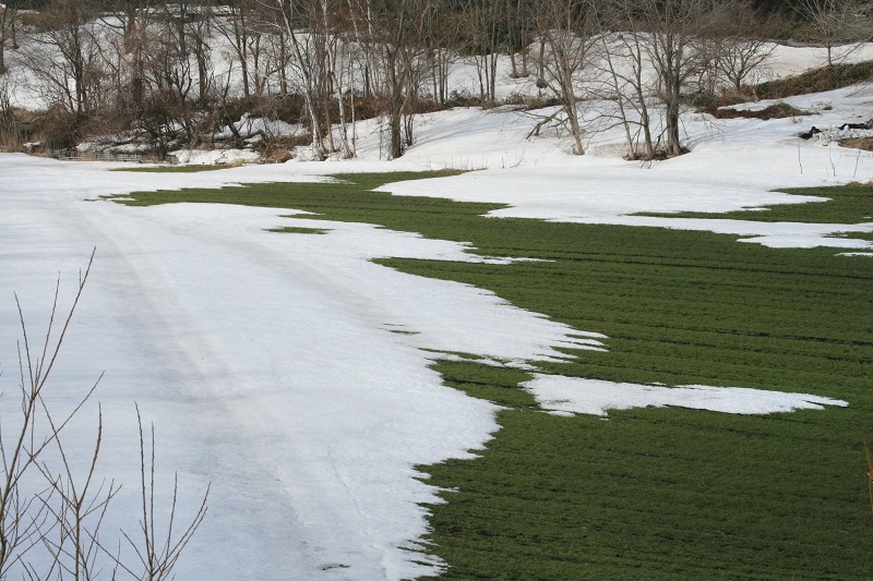 ファイル 71-3.jpg