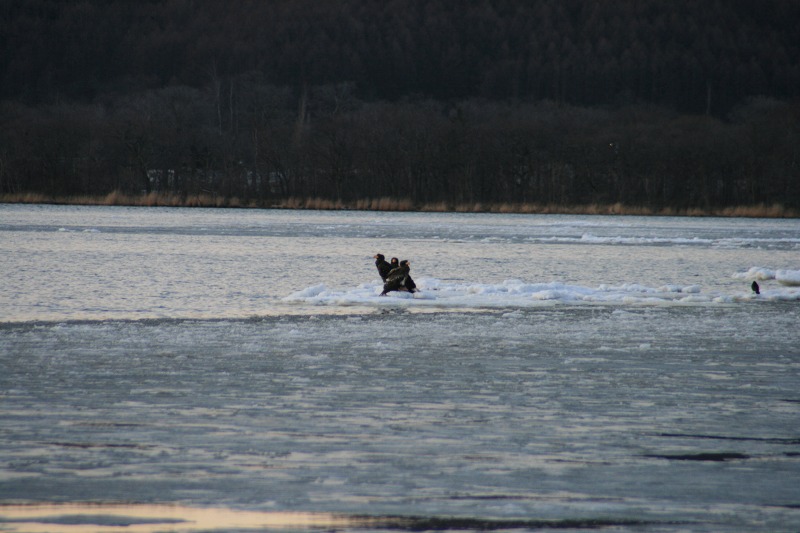 ファイル 75-1.jpg