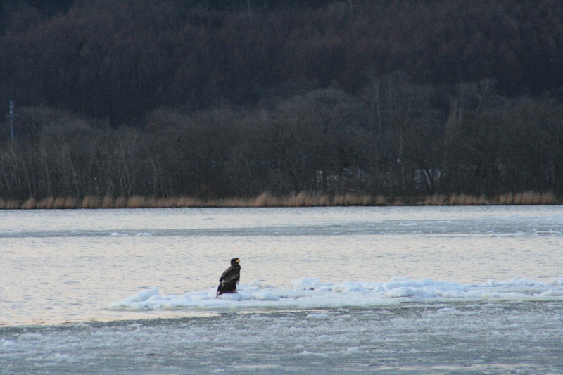 ファイル 75-2.jpg