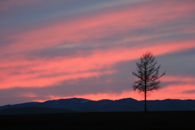 ファイル 76-1.jpg