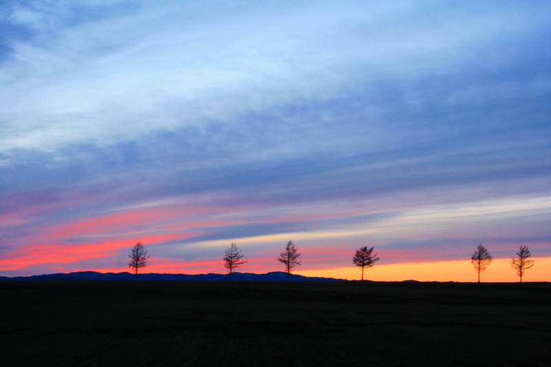 ファイル 76-2.jpg