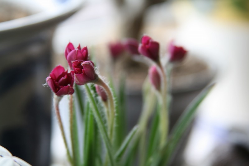 ファイル 78-1.jpg