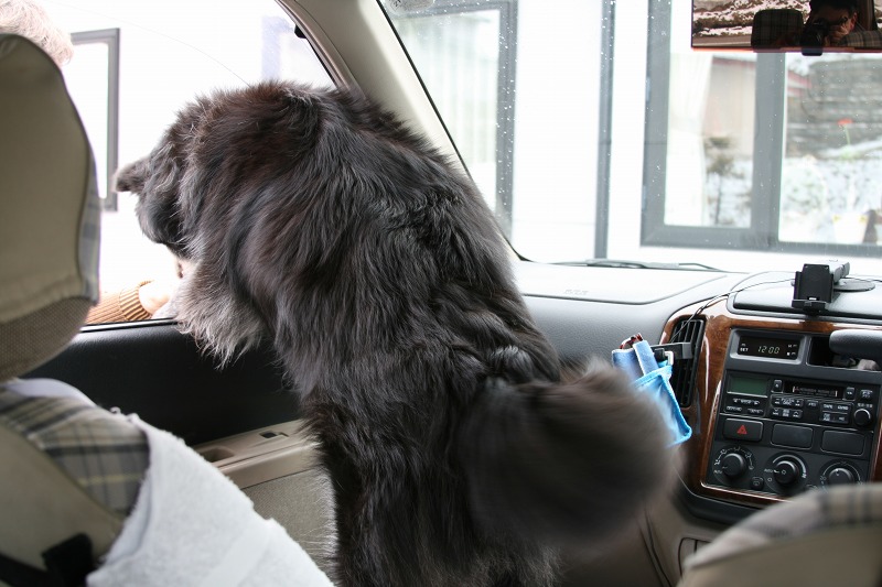 ファイル 78-3.jpg