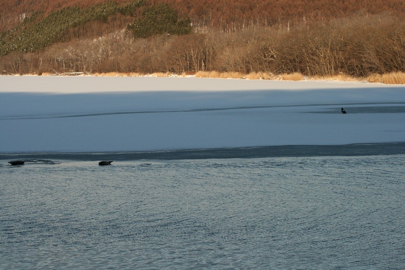 ファイル 8-1.jpg