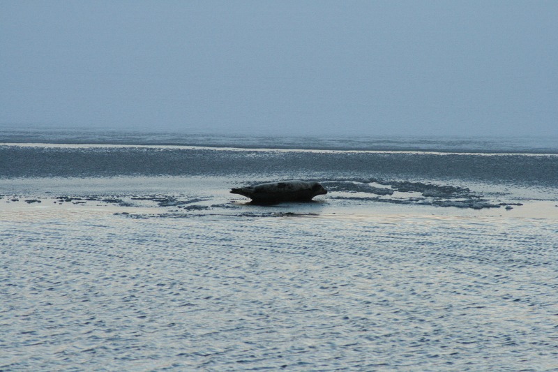 ファイル 8-2.jpg