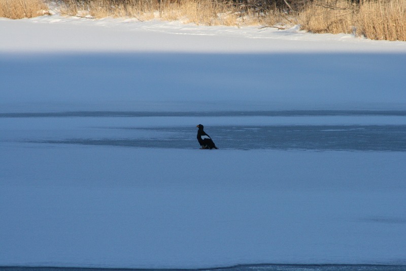 ファイル 8-3.jpg