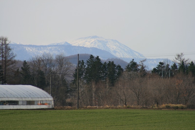 ファイル 81-1.jpg