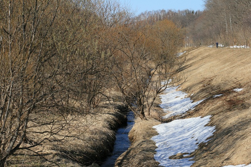 ファイル 82-1.jpg