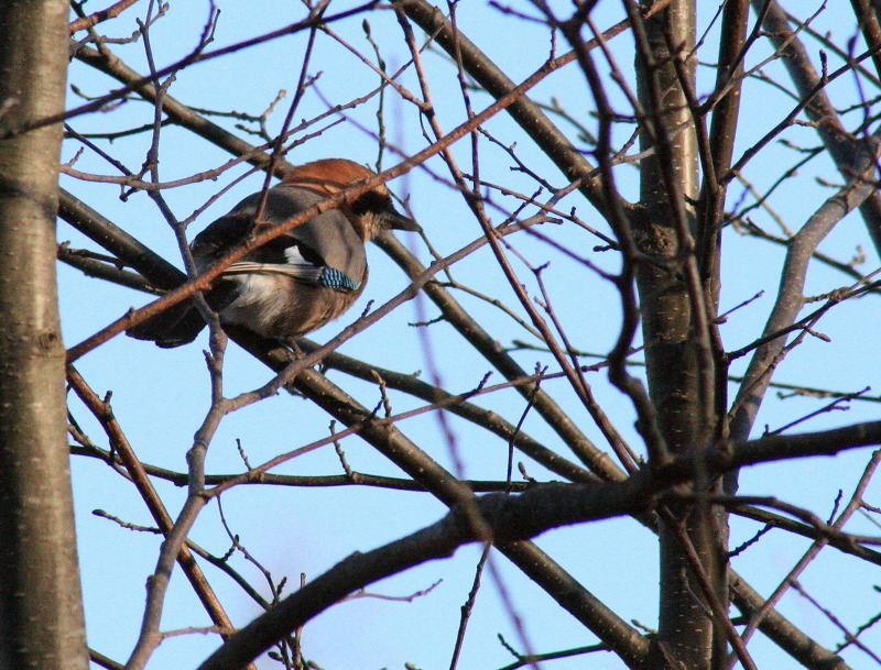 ファイル 82-2.jpg