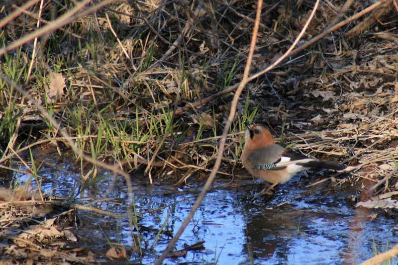 ファイル 82-3.jpg