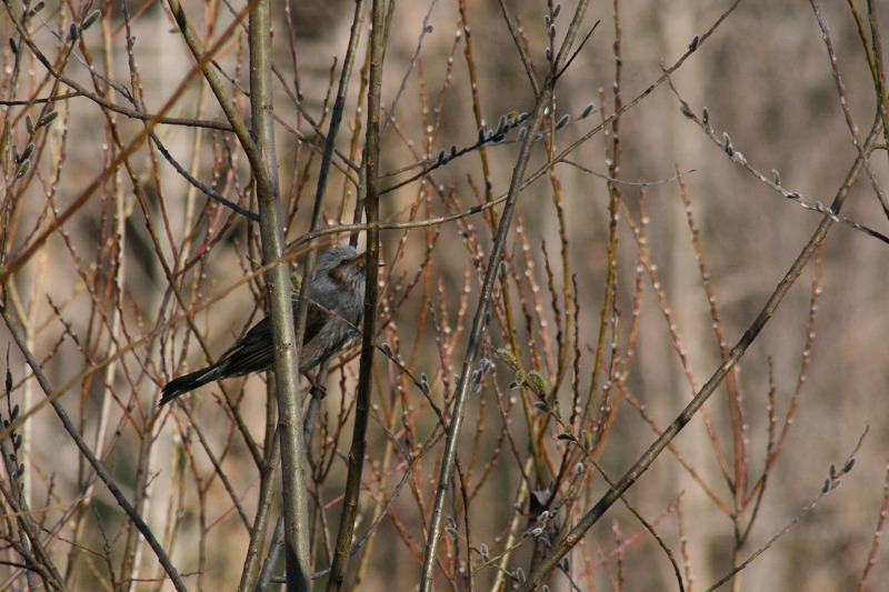 ファイル 82-5.jpg