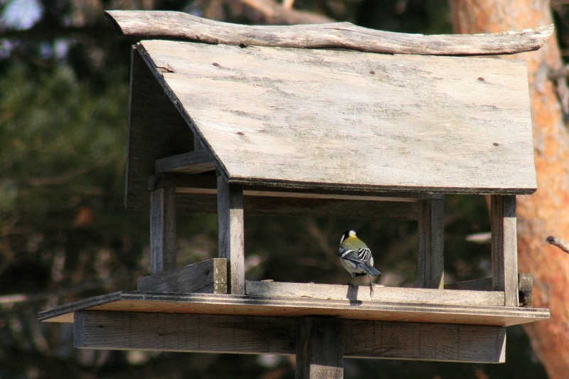 ファイル 83-2.jpg