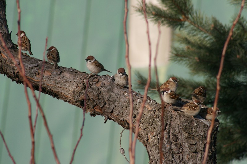 ファイル 84-1.jpg