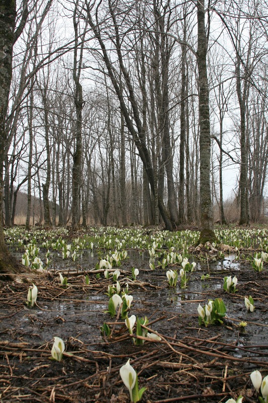 ファイル 85-2.jpg