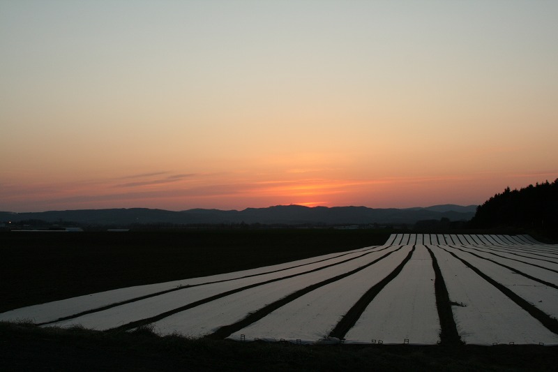 ファイル 86-3.jpg