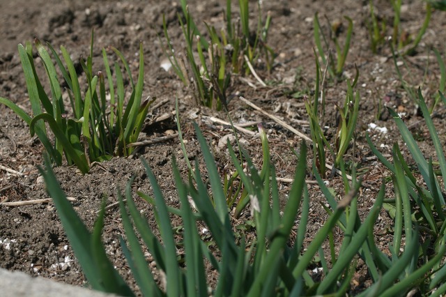 ファイル 88-2.jpg