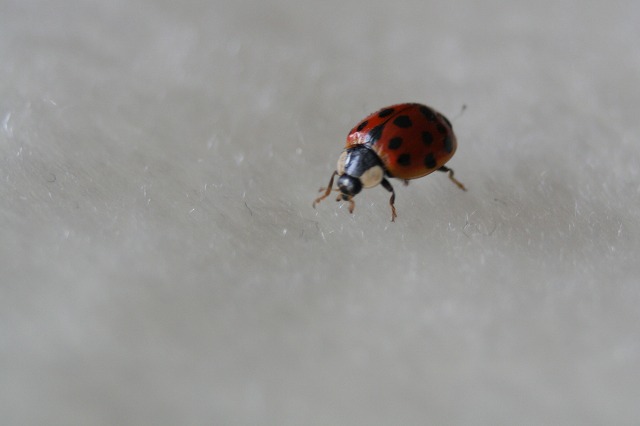 ファイル 88-3.jpg