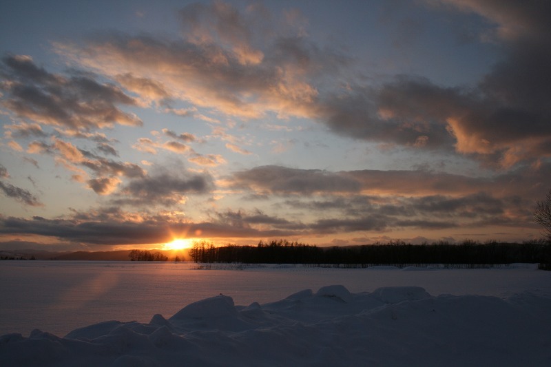 ファイル 9-1.jpg