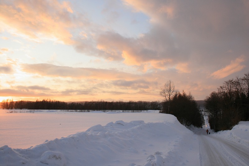 ファイル 9-2.jpg