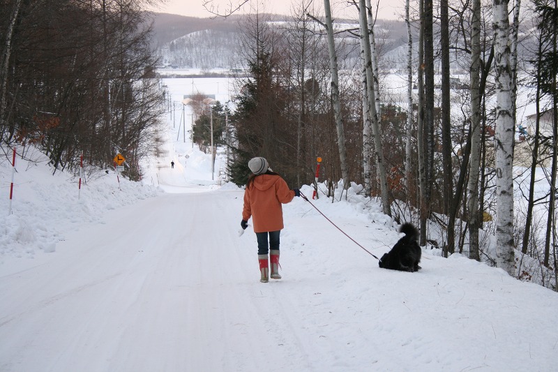 ファイル 9-3.jpg