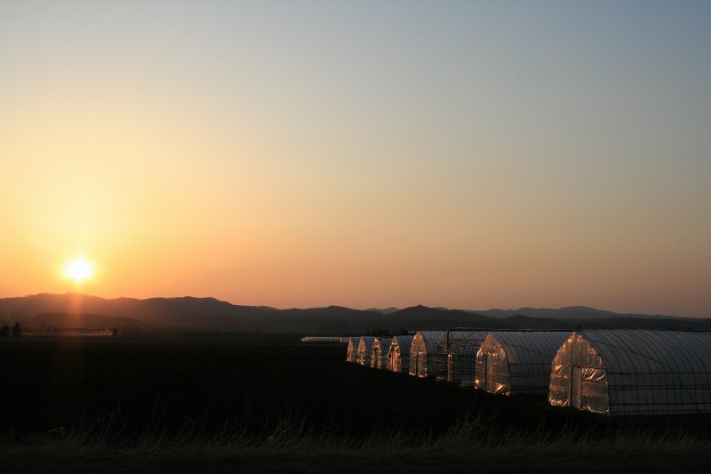 ファイル 90-3.jpg