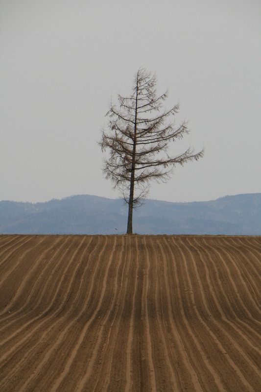 ファイル 91-1.jpg