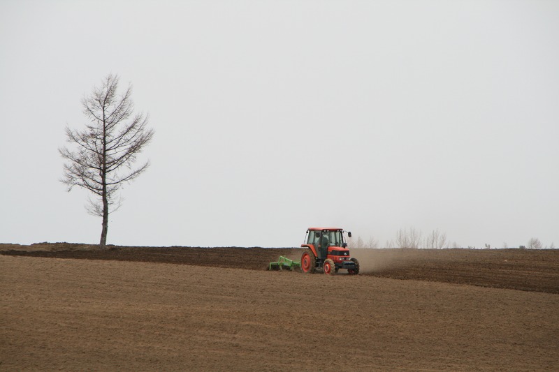 ファイル 91-2.jpg