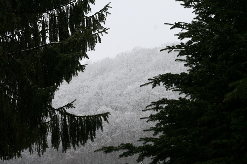 ファイル 92-3.jpg