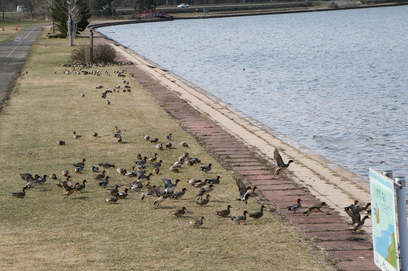 ファイル 94-2.jpg