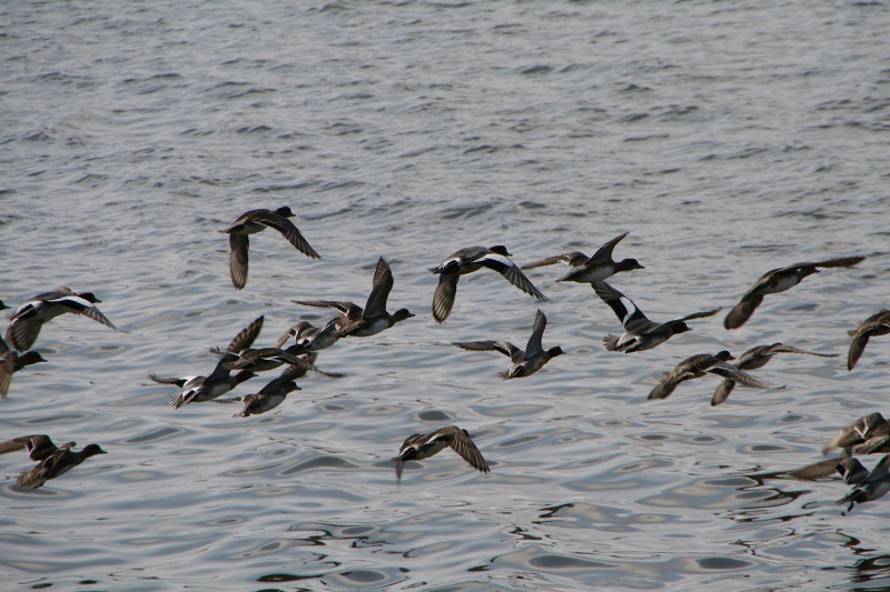 ファイル 94-3.jpg