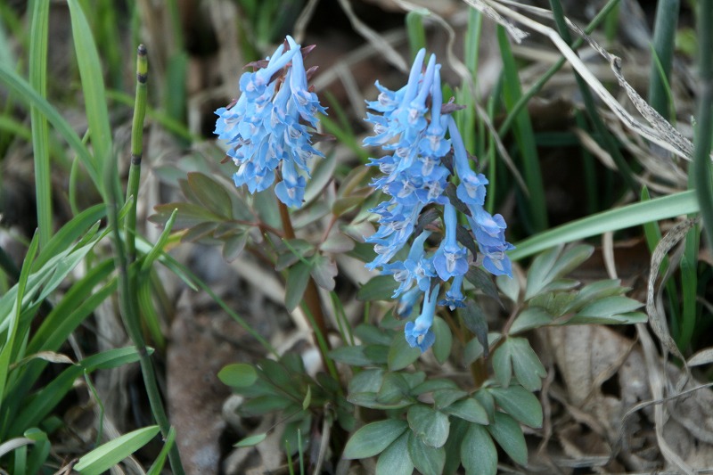 ファイル 95-3.jpg