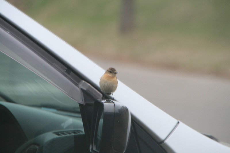 ファイル 96-1.jpg