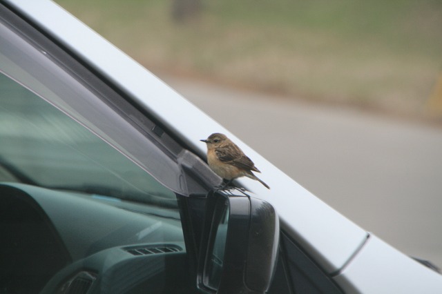 ファイル 96-2.jpg