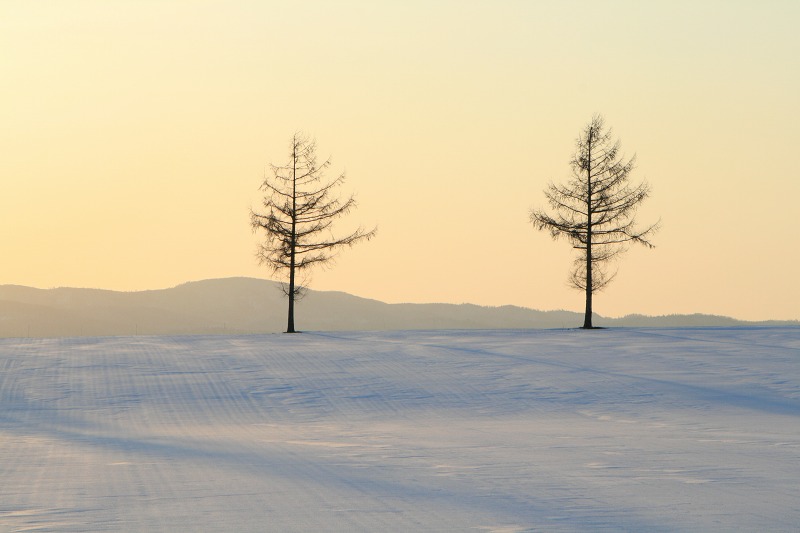 ファイル 97-3.jpg