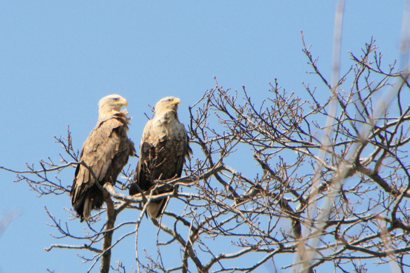 ファイル 98-2.jpg