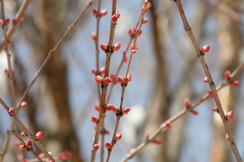 ファイル 98-4.jpg