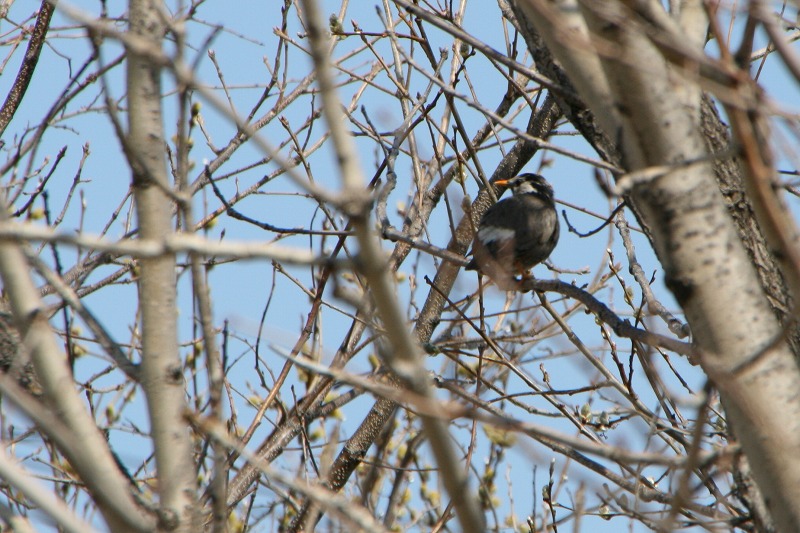 ファイル 99-1.jpg