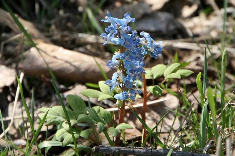 ファイル 99-3.jpg