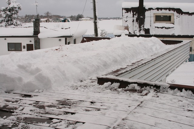 ファイル 101-1.jpg