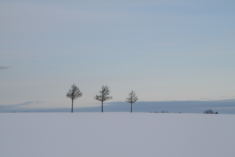 ファイル 102-2.jpg